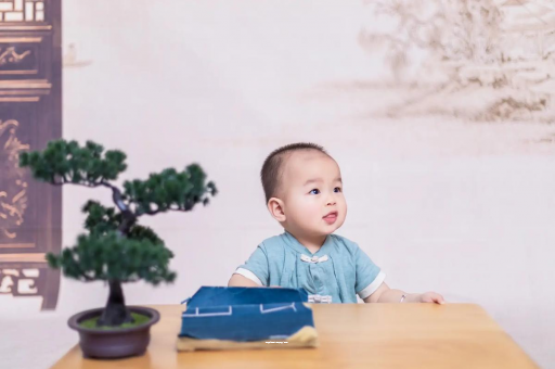 包生男孩正规公司二岁宝宝发型 包生男孩正规公司二岁宝宝发型